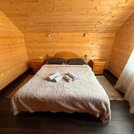 опришок Hotel Palyanytsya